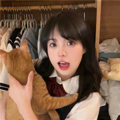 御猫三戏锦毛鼠粤语