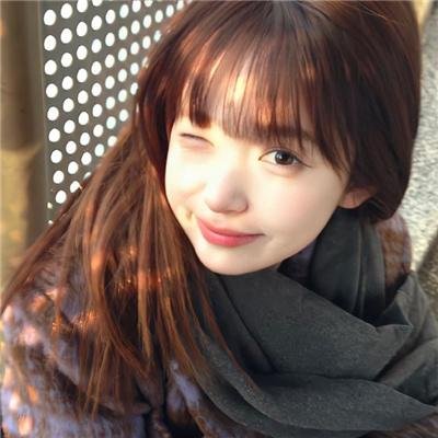 一条狗的回家路